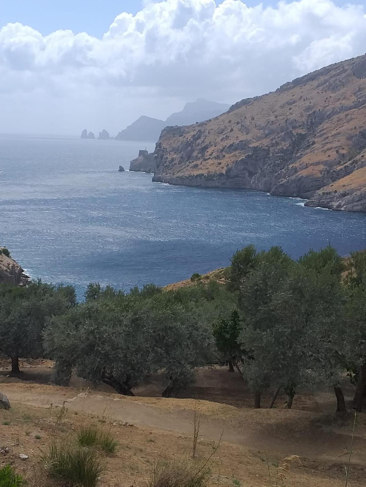 Heaven Oasis Near Sorrento & Capri - Masseria Torca 